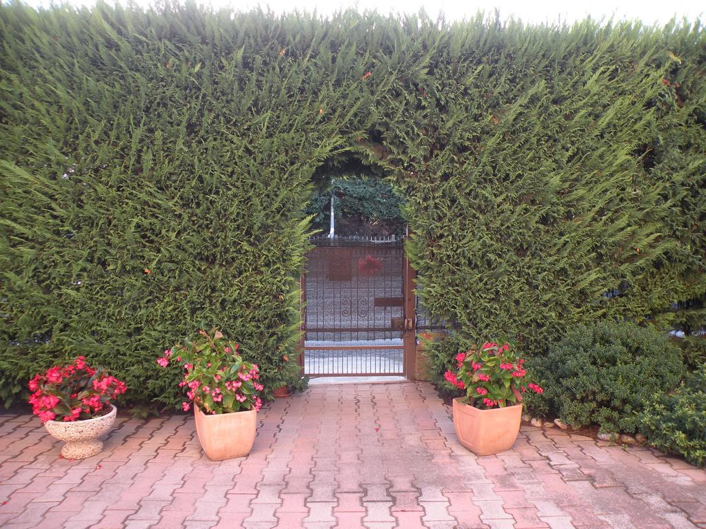 로솔리나 Casa Oriana 빌라 외부 사진
